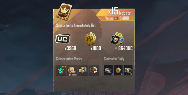 Prime Plus (6 Months)
